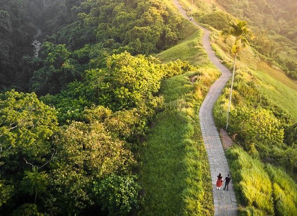 Bukit Campuhan Ubud, Udara Segar Melimpah Ruah