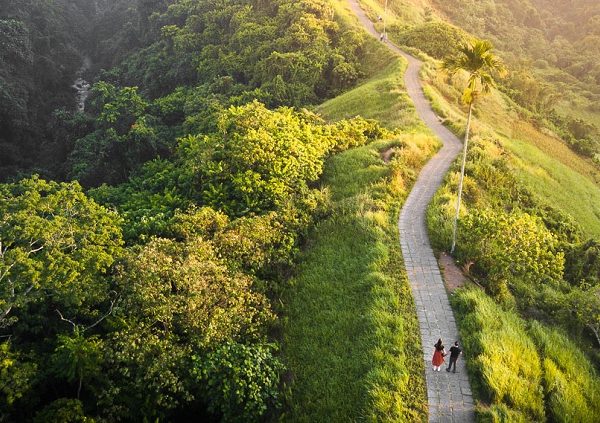 Bukit Campuhan Ubud, Udara Segar Melimpah Ruah