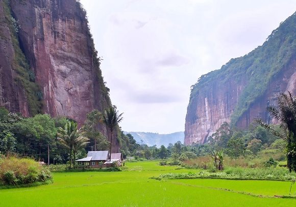 Lembah Harau, Jurang Raksasa 699 Hektar