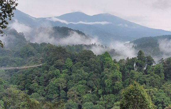 Ekonomi Rakyat Menggeliat di Situ Gunung