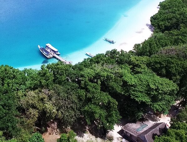 Pulau Peucang Eksotisme Kiara dan Rusa