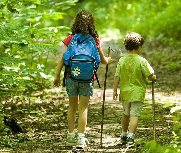 Ayo Trekking di Gunung Pancar Sentul