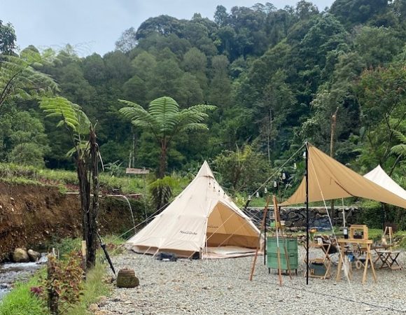 Djamuju Coffee Camping Berkalang Kabut