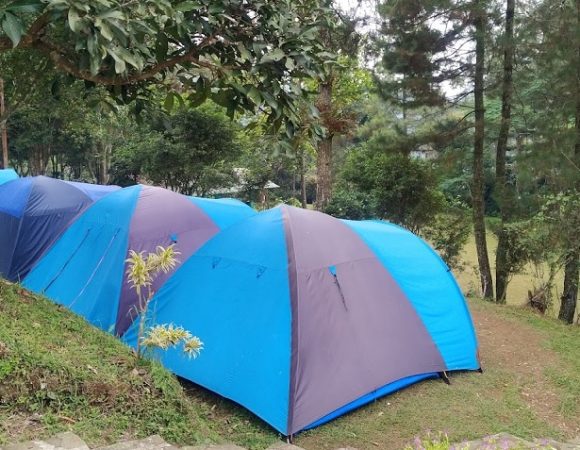 Eagle Hill Camp Camping untuk Grup