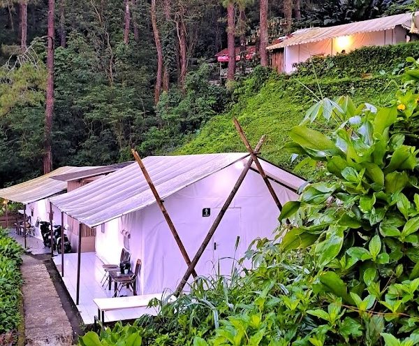 Masada Village Glamping Puncak Tenda Lega