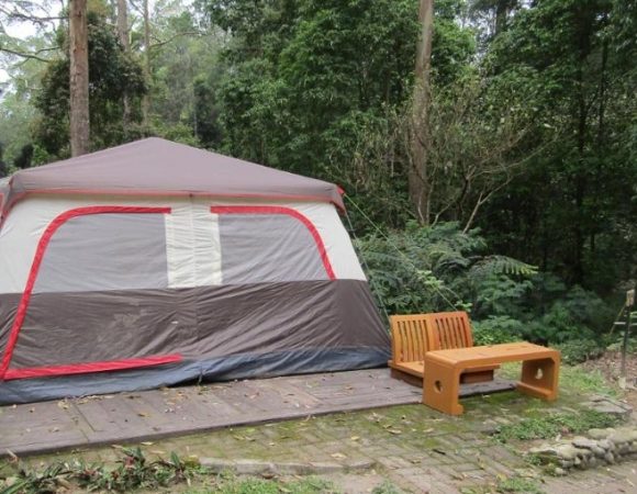 Lawu Forest Camping Telaga Sarangan