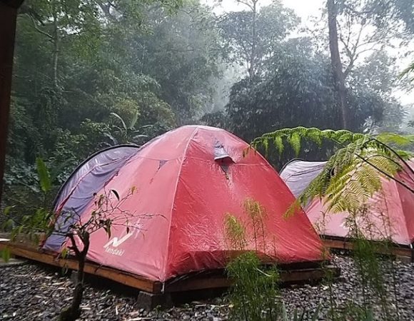Teduh Glamping Camping Gunung Raung