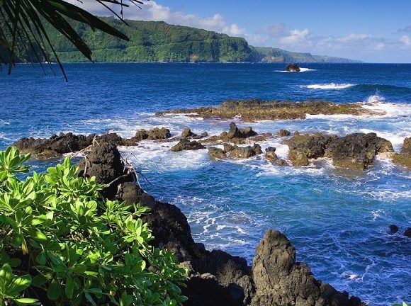 Surga Dunia di Taman Nasional Bali Barat