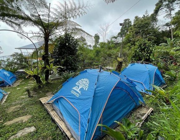 Lembah Pinus Camping Café dan Kolam