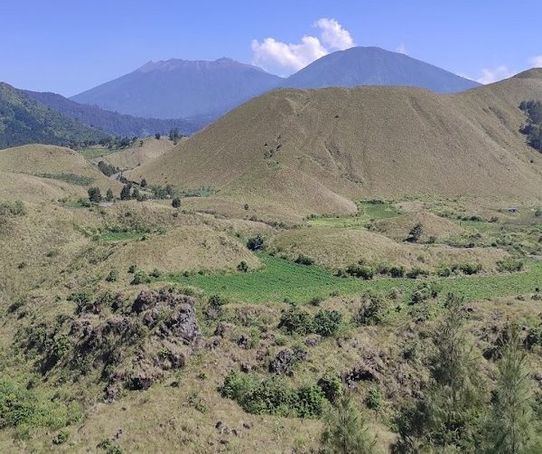 Bukit Teletubbies di Kawah Wurung Bondowoso