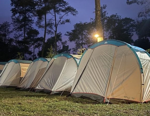 Kebon Pines Camping Bernuansa Syahdu
