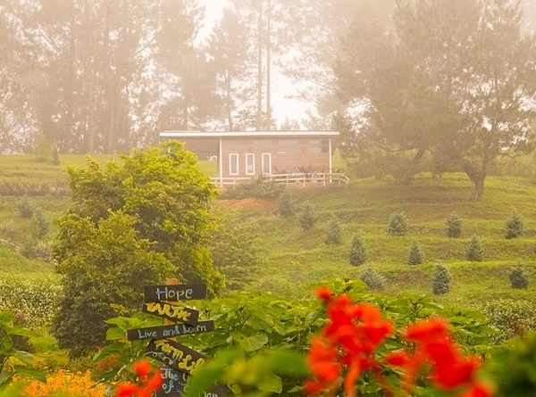 Sajjan Heritage Farm, Desa Amerika di Kaban Jahe