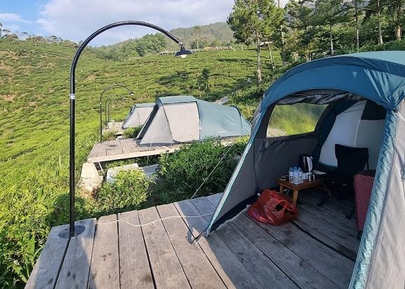 Agrowisata Jamus Camping di Kebun Teh Ngawi