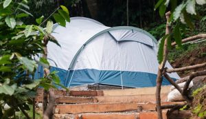 Levi Camp Glamping Rasa Camping di Hutan Cisarua