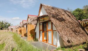 Bamboo Shack Glamping Pinggir Sawah Bukittinggi