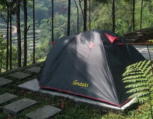 Cikoneng Camp Camping Pamijahan Ditemani Kelinci