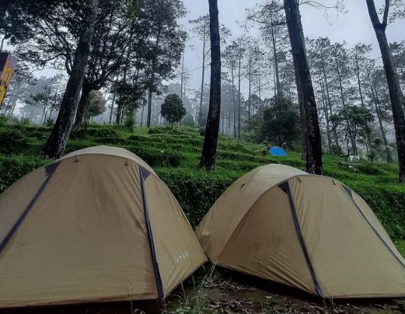 Mawar Camp Camping Gunung Ungaran