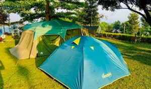 Bukit Bena Camping Pamijahan Dilengkapi Peternakan Sapi