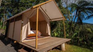 Green Lava Glamping Bedugul Berpayung Hutan Rindang