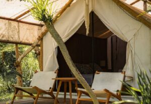 Camani Glamping Tengah Sawah di Karangasem Bali