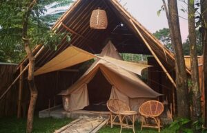 Cemoro Jati Glamping Lido Sukabumi Plus Kafe