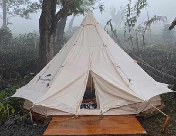 Goalpara Estate Camping Korea di Kebun Teh Sukabumi