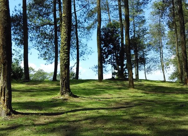 Mari Bermain di Jayagiri Bandung