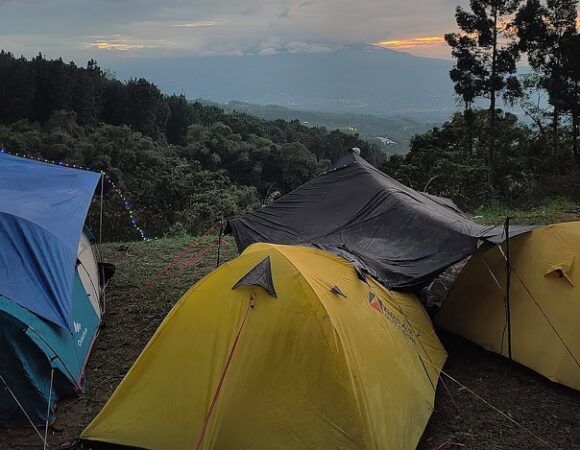 Lembah Damar Cidahu Camping Berpayung Pohon Damar